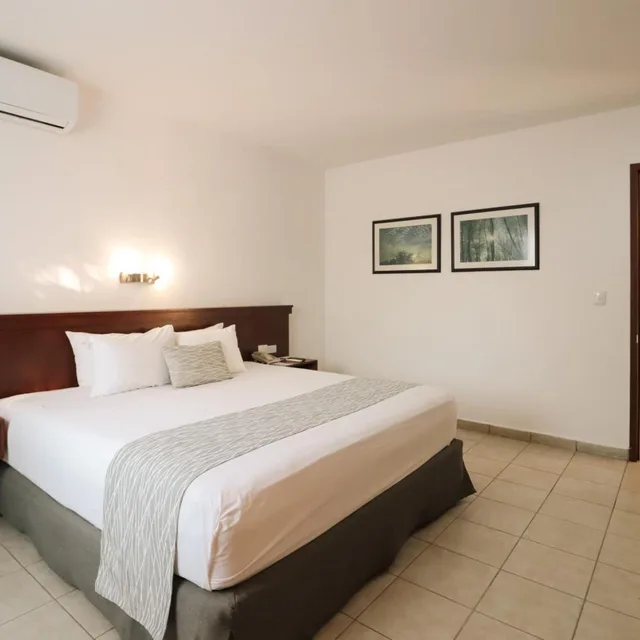 جناح سوبيريور بسرير كينج، Meson de La Luna Hotel Spa 2/4
