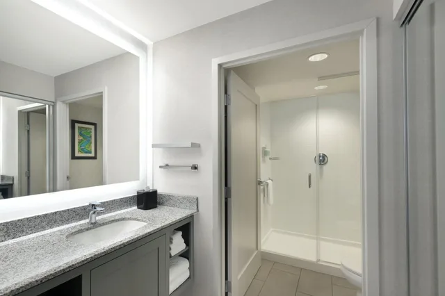 Suite, Queen Bed, Residence Inn By Marriott Boston Back Bay Fenway 6/10