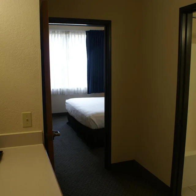 جناح بسرير كينج بغرفة نوم واحدة مع أريكة، Country Inn & Suites By Radisson Lansing MI 2/3