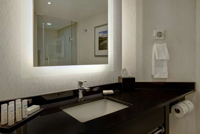 Suite, King Bed, Canadian Falls View، Embassy Suites By Hilton Niagara Falls Fallsview 2/2
