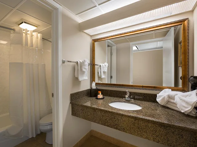Efficiency, 2 Queen Beds, Ocean View، Coral Beach Resort Hotel Suites 2/2