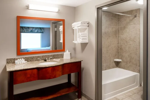 استوديو بسرير كينج مع أريكة لذوي الإعاقة، Hampton Inn & Suites Salida 2/2