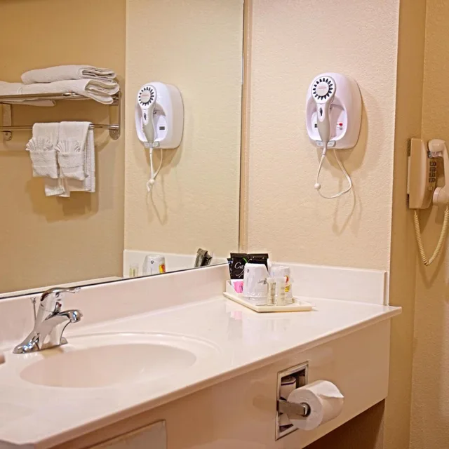 Deluxe, Suite, King Bed, Super 8 by Wyndham Irving/DFW Apt/North 2/4