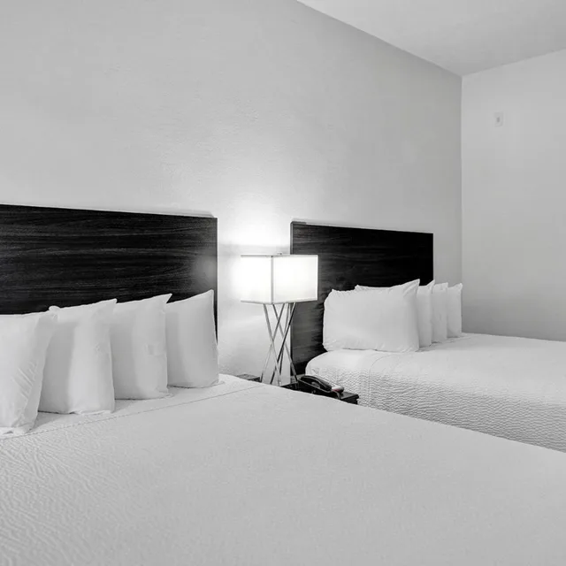 Room, The Harrison Downtown Hollywood 5/9