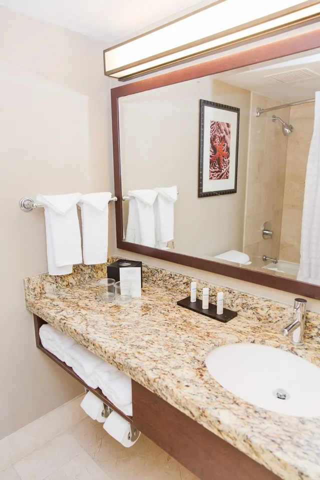 Standard, King Bed, Embassy Suites by Hilton West Palm Beach Central 7/8