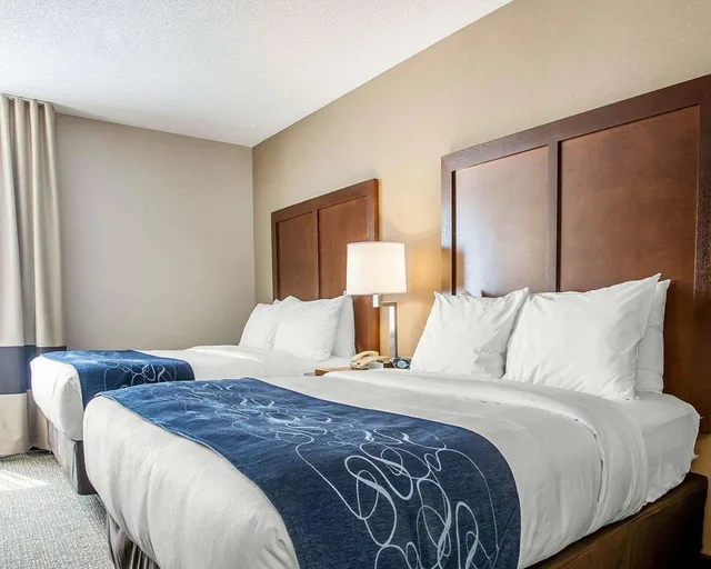 جناح بسريرين كوين، Comfort Suites West Warwick 1/2
