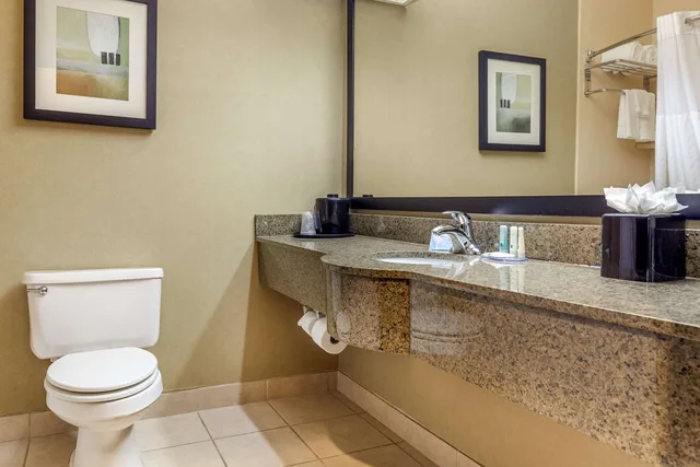 جناح بسرير كينج، Quality Inn Suites Durant 1/1