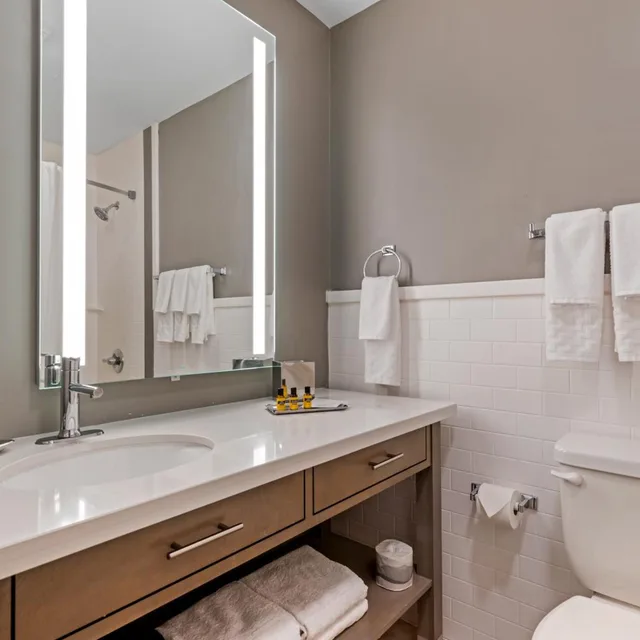 غرفة بسرير كينج بمطبخ صغير بحوض استحمام لذوي الإعاقة، Best Western Plus Executive Residency Waterloo and Cedar Falls 3/3