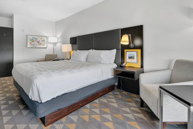 غرفة قياسية بسرير كينج، Holiday Inn Express Hotel And Suites Dallas Addison 1/10
