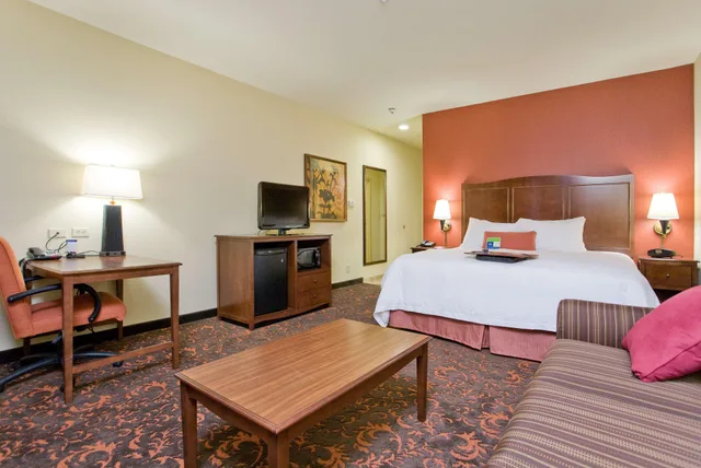 استوديو بسرير كينج، Hampton Inn & Suites New Braunfels 1/1