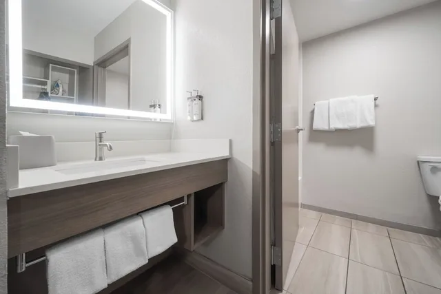 غرفة قياسية بسرير كينج لذوي الإعاقة، Holiday Inn Express Tifton 4/6