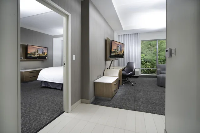 غرفة بسرير مزدوج لذوي الإعاقة، Courtyard by Marriott Asheville Biltmore Village 4/4