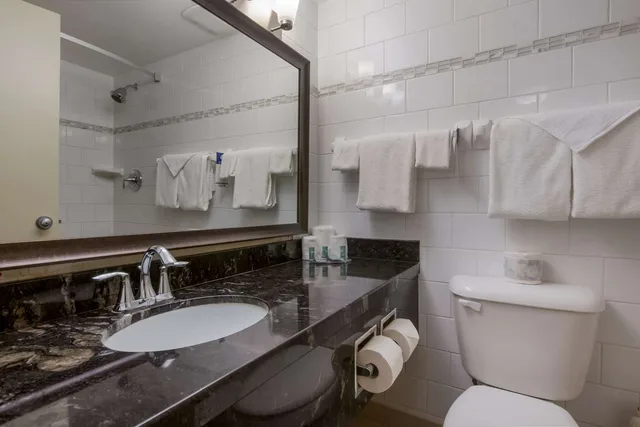 غرفة بسرير كينج، Best Western Brantford Hotel Conference Centre 4/4
