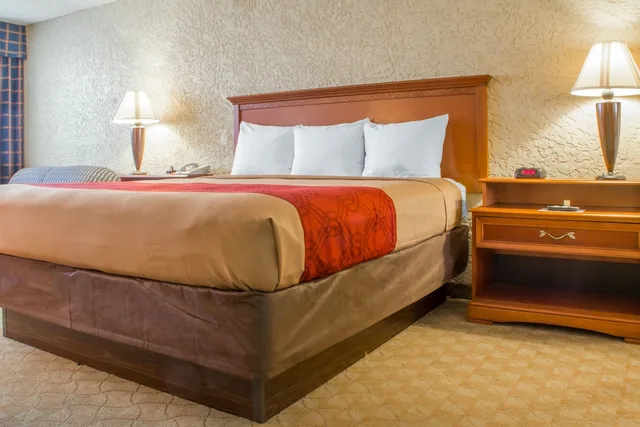 Room, King Bed, Accessible, Econo Lodge Broken Arrow 6/10