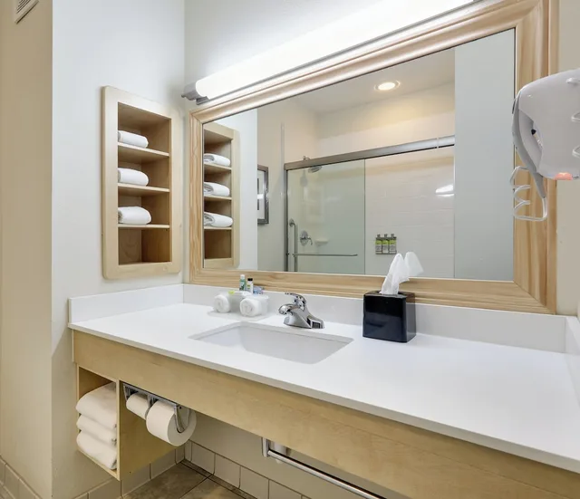 غرفة قياسية بسرير فردي، Holiday Inn Express Suites San Antonio Brooks City Base 4/5