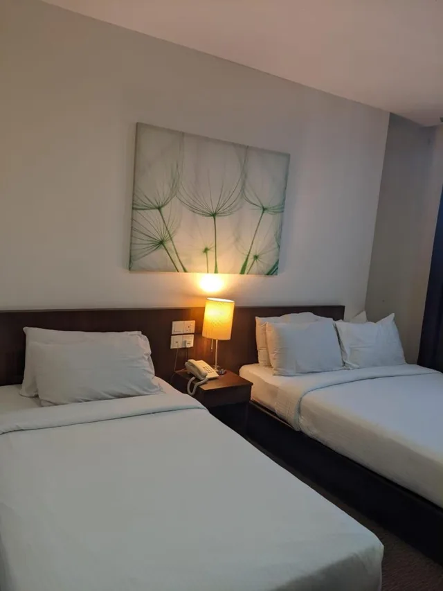 غرفة سوبيريور عائلية بسرير كوين وسرير فردي، The View Hotel 1/2