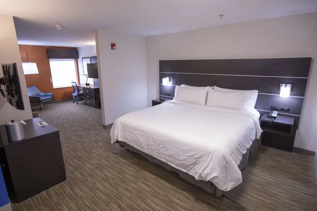 غرفة قياسية بسرير كينج لذوي الإعاقة، Holiday Inn Express And Suites Locust Grove 3/7