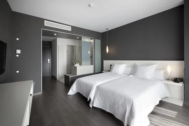غرفة قياسية بسريرين منفصلين، Hotel Masmonzon 6/10