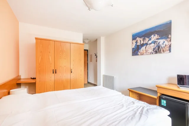 Deluxe, Double Bed, Alpina Hotel 1/9
