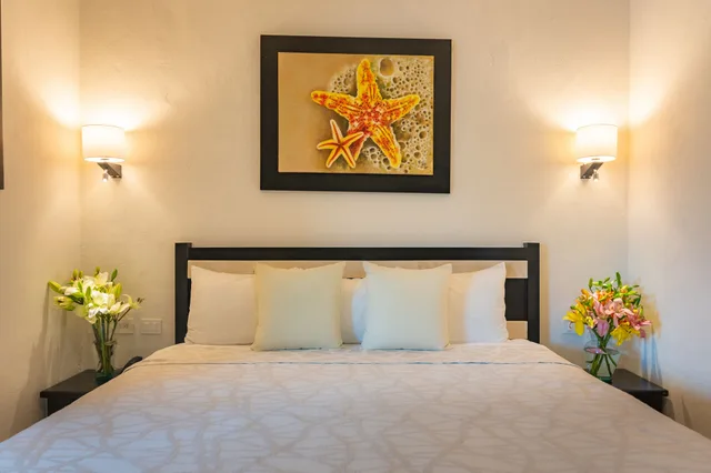 غرفة عائلية بسرير كينج، Villa Palmeras 3/5