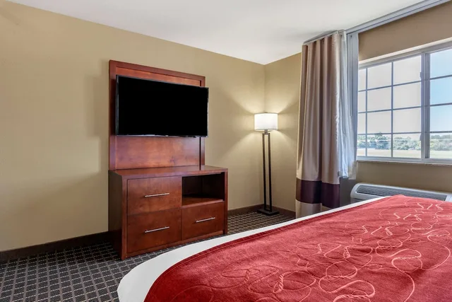جناح بسرير كينج مع أريكة بحوض جاكوزي، Comfort Suites Delavan Lake Geneva Area 2/3