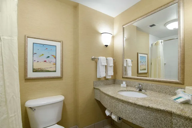 Standard, King Bed, Lateral Side Ocean View, Sofa, Balcony، Hilton Garden Inn Outer Banks/Kitty Hawk 6/8