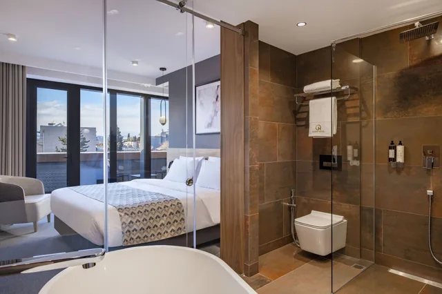 غرفة تنفيذية بسرير كينج، Clocks Hotel Tbilisi 4/5