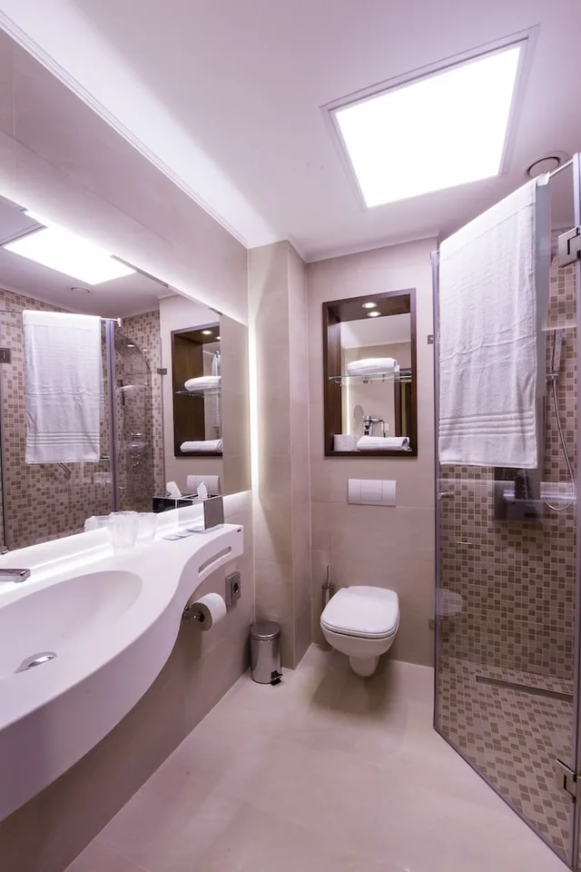 Superior, Double Bed, Transilvania 5/5