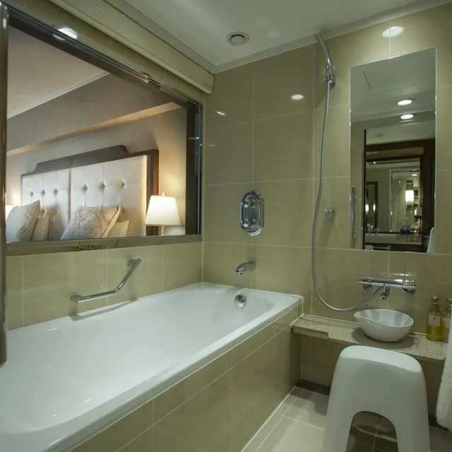 Premier, Deluxe, Double Bed, Kyoto Century Hotel 5/6