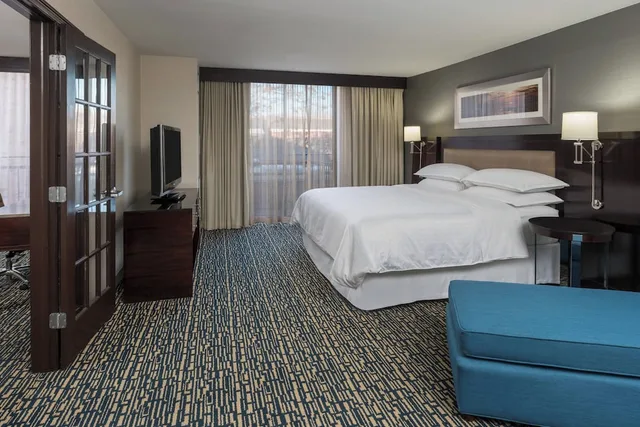 غرفة ديلوكس بسرير كينج مع أريكة لذوي الإعاقة، Sheraton Salt Lake City Hotel 1/9