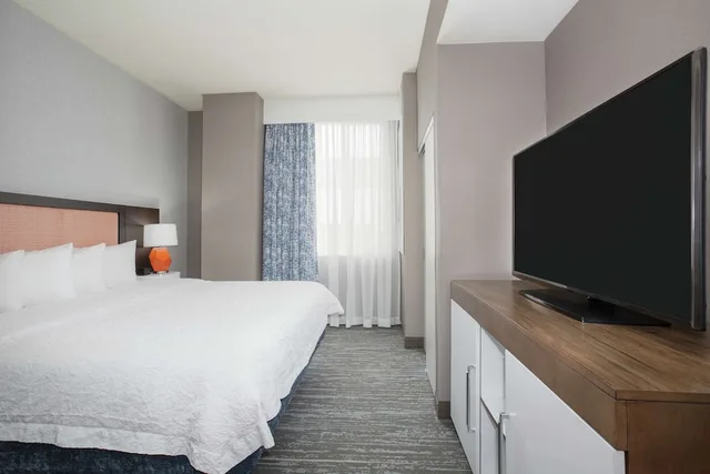 جناح استوديو بسرير كينج، Hampton Inn Suites Denver Downtown 1/1