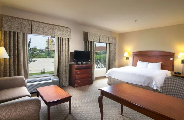جناح بسرير كينج، Hampton Inn And Suites Brownsville 1/2