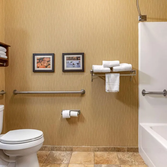 Room, King Bed, Bathtub, Accessible, Comfort Inn Wings Stadium 7/10
