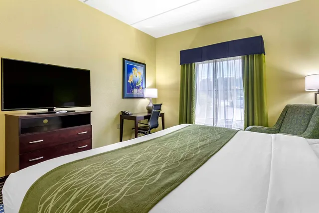 جناح بسرير كينج، Comfort Inn Athens, TN 2/4