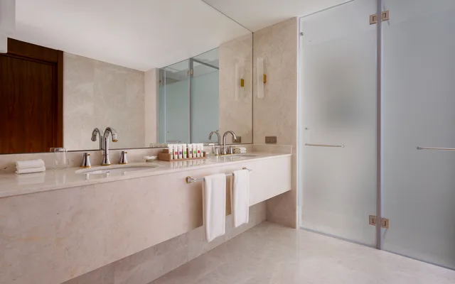 جناح جونيور تنفيذي بانورامي بسرير كينج بإطلالة على الجبل، Swissotel Wellness Resort Alatau Almaty 8/9