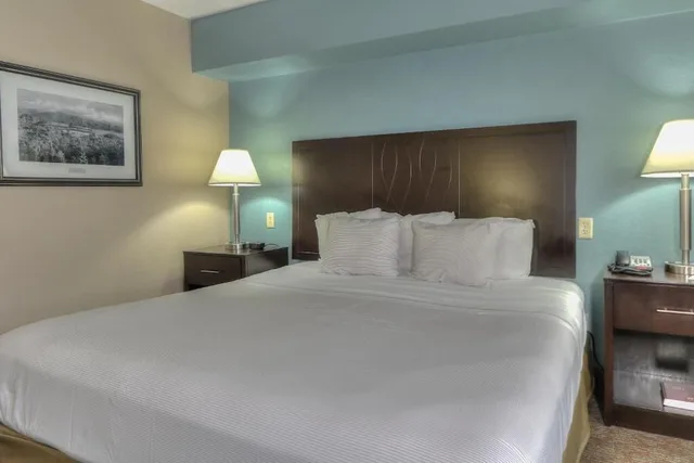 غرفة بريميوم بسرير كينج، The Greystone Lodge on the River 2/6