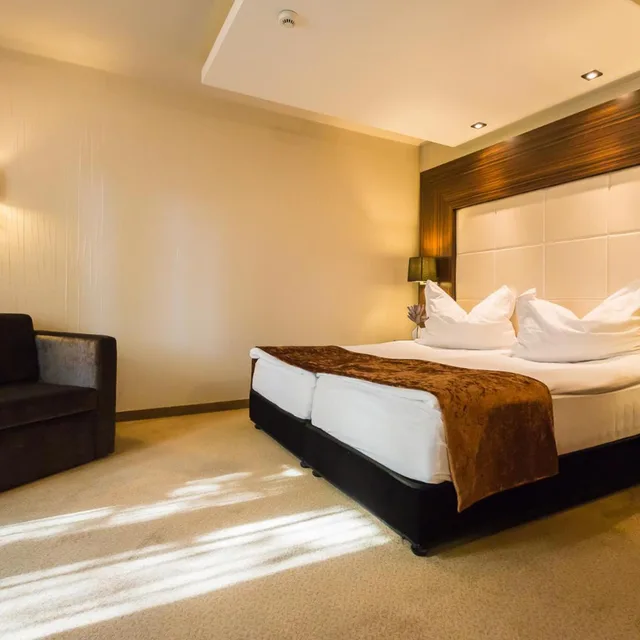 غرفة قياسية بسريرين منفصلين، Duna Garden Hotel 2/9