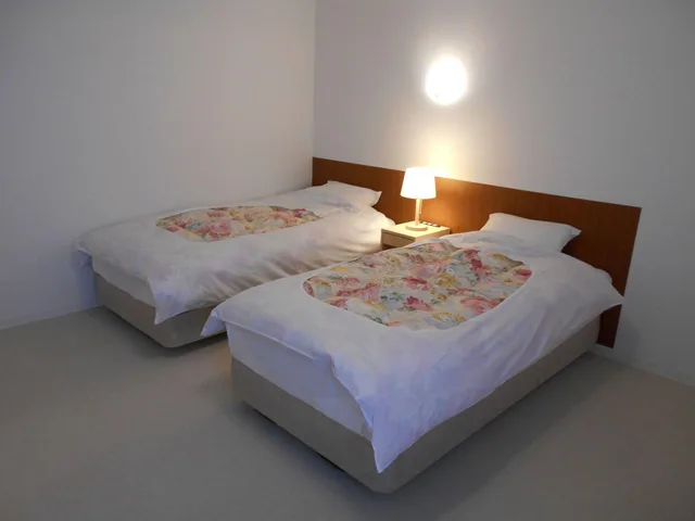 غرفة ديلوكس بسريرين منفصلين، Hotel Nishimura 1/1