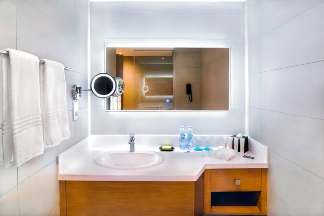 Club, Double Bed, City View, Smoking, Le Meridien Abu Dhabi 6/6
