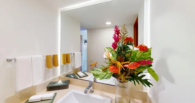 غرفة ديلوكس بسرير كينج، Park Royal Beach Acapulco - All Inclusive 8/8