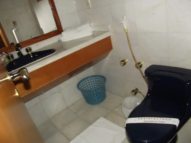 غرفة سوبيريور فاخرة بسرير مزدوج، Colonial Plaza Hotel 4/4