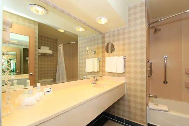 غرفة قياسية بسرير كينج لذوي الإعاقة، Holiday Inn Express Silao Aeropuerto Bajio 5/5