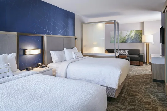 جناح بسرير كوين بإطلالة على المدينة لذوي الإعاقة، Springhill Suites Detroit Wixom 1/10