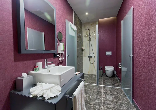 غرفة قياسية بسرير كينج، Euphoria Batumi Convention And Casino Hotel 4/4