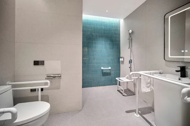 غرفة قياسية بسرير كينج لذوي الإعاقة، Holiday Inn Express Yibin Xuzhou by IHG 2/3