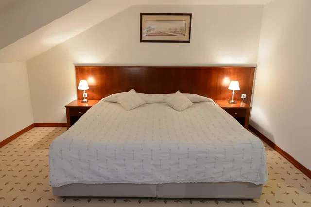 شقة بسريرين منفصلين، Hotel Orasac 1/4