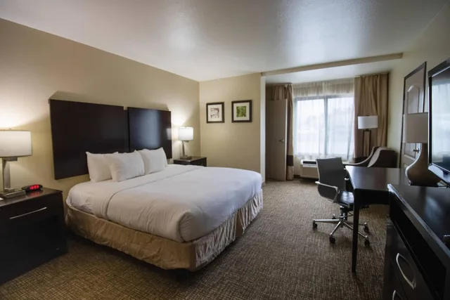 غرفة قياسية بسرير كينج، Comfort Inn & Suites San Bernardino 7/10