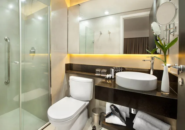 غرفة ديلوكس بسرير كينج، Melia Ibirapuera 4/4