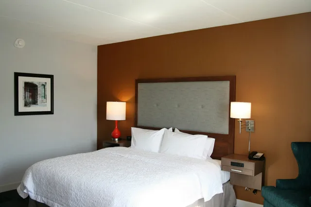 غرفة بسرير كينج لذوي الإعاقة، Hampton Inn & Suites Rome 2/6