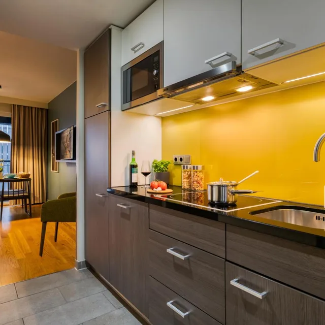 شقة بغرفة نوم واحدة مع أريكة، Citadines City Centre Frankfurt 8/8